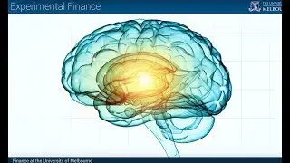 The Finance Professional