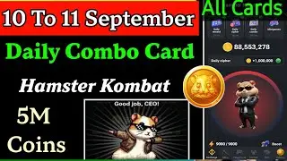 Hamster Kombat Daily Combo Cards 10 September | 10Th To 11 September | Hamster Daily Combo Today