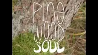 Pinewood Soul - Double-EP Teaser - Woodpecker's Cry