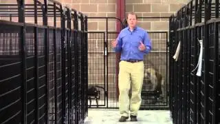 Best Heavy Duty 3-Sided Dog Run 2026 | K9 Wall Mounted Kennel Review
