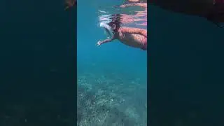 Flipper ATLAS  Yer: Bodrum Ortakent