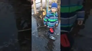 Любитель луж