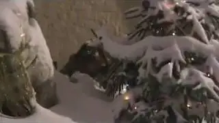 2011 - Международный год чорного краеведенья