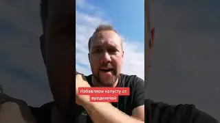 Спасаем капусту