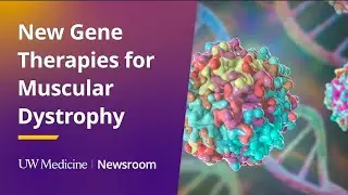 New Gene Therapies for Muscular Dystrophy