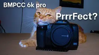 blackmagic pocket cinema camera 6k pro | thoughts and why I got one