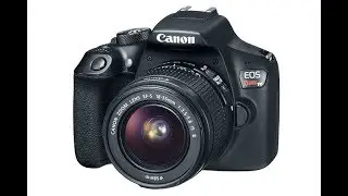 Best Beginners DSLR Cameras of 2019