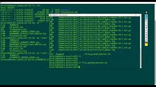 Shell Script For File Growth Monitor In Linux/Oracle
