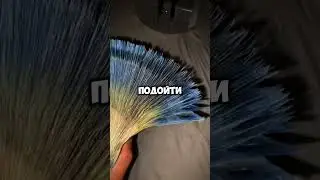 Запомни на всю жизнь ‼️😈