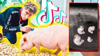 PROBÉ ESTE LIFE HACK DE TIKTOK PARA VER SI ESTA EMBARAZADA!
