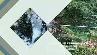 FERRAMULIN