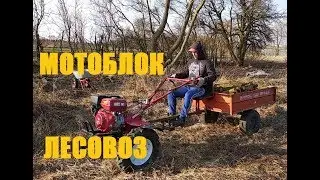 【3】КАК МОТОБЛОКОМ ВОЗИТЬ ДРОВА. ДОМ В ДЕРЕВНЕ