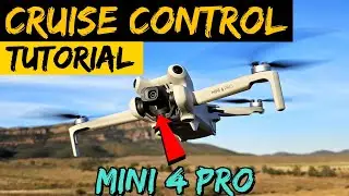 The Ultimate Cruise Control Guide - Mini 4 Pro