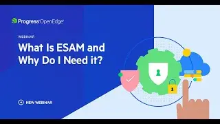 What Is ESAM and Why Do I Need It?  | Progress OpenEdge