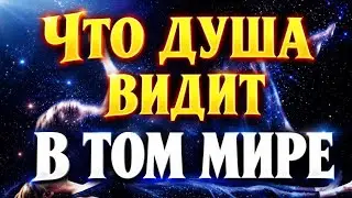 Это всем придется пережить! Есть ли Жизнь после смерти?