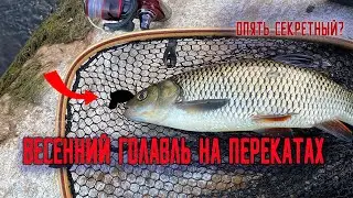 ВЕСЕННИЙ ГОЛАВЛЬ МАЛЫХ РЕК НА КРЕНКИ #26 