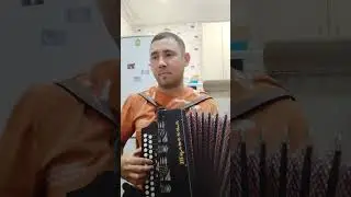 отчего так в России берёзы шумят (Любэ) кавер под гармонь
