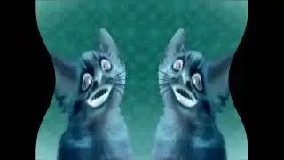 Preview 2 Numa Cat 3 In Deaf Major