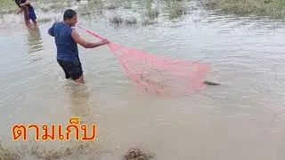 #ตามเก็บตามป่าหญ้าลงแหบัตร 1,300 บาท