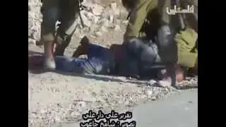 Palestine 12 June 2015