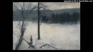 free *no drums* sad indie folk + acoustic guitar type beat - no one is there anymore