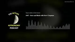 #447 - Stars and Birds with Dave Chapman