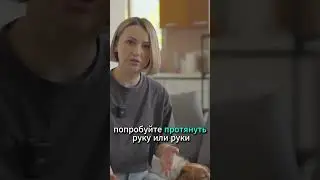 У собаки передоз ласки, что делать? #shorts