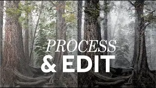 Master Mobile Photography trailer 1902x1080 2