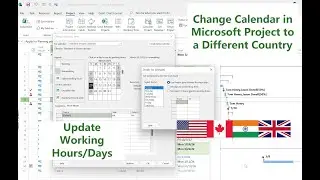 Changing Working Hours and Calendars in Microsoft Project for Different Countries