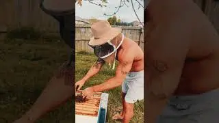 Catching a Bee Swarm with BARE HANDS Part 1