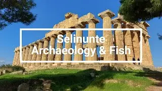 Greek Sicily | Selinunte - Europes largest archaeological site, Beaches & Fish
