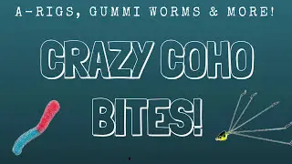 Awesome Underwater Salmon Bites (Bizarre Edition)
