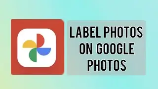 How to label a photo on Google Photos