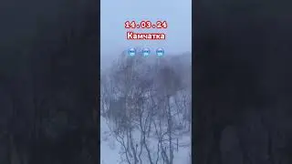 #камчатка