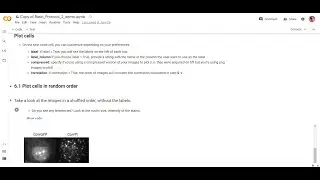 Interpreting image-based profiles: single cell retrieval and visualization using Google Colab