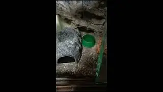 влажная камера EXO TERRA