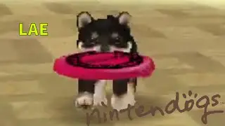 Nintendogs - Dressage de Lae
