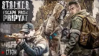 DayZ 1.20 | NATURAL EFP | СТРЭМ | ТАРКОВСТАЛКЕРДЕЙЗ