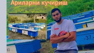 АРИЛАРНИ КУЧИРИШДА ИНОБАТГА ОЛИНАДИГАН ИШЛАР...
