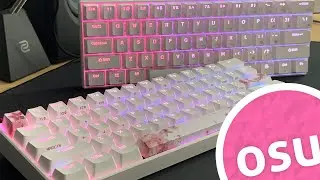 $50 vs $100 Keyboards for Osu! Anne Pro 2 vs RK61