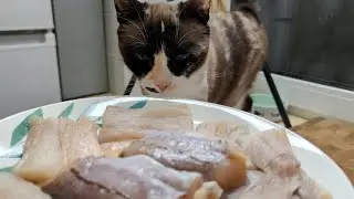 Вот как нужно готовить МИНТАЙ! Невероятно СОЧНО и ПРОСТО!