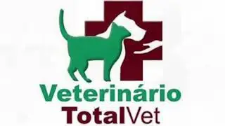 Alimentação de cão com megaesôfago