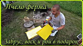 Пчело ферма, забрус, воск и рой в подарок.