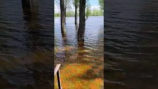 Київ. Корчувате