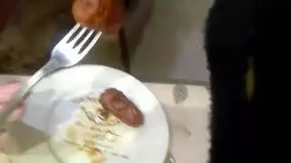 сасисы