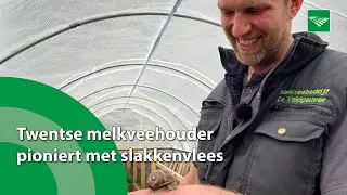 Twentse melkveehouder pioniert met slakkenvlees