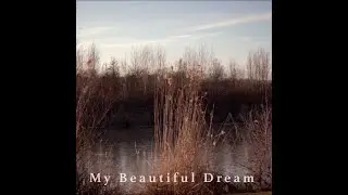 Cradle Collective - My Beautiful Dream (Official Lyric Video)