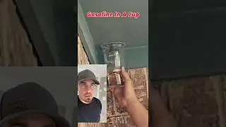 Watch How Passionate People Get About Bugs. 🤣