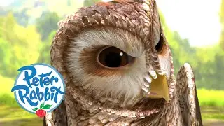 Peter Rabbit - Escaping Old Brown Owl | Cartoons for Kids