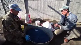 Инокуляция и инкрустация семян подсолнечника. АгроБиоКомплексная технология